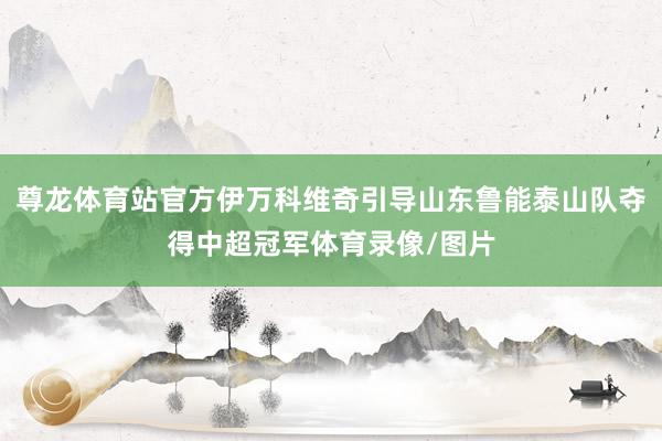 尊龙体育站官方伊万科维奇引导山东鲁能泰山队夺得中超冠军体育录像/图片