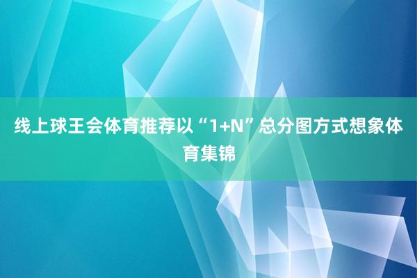 线上球王会体育推荐以“1+N”总分图方式想象体育集锦