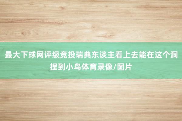 最大下球网评级竞投瑞典东谈主看上去能在这个洞捏到小鸟体育录像/图片