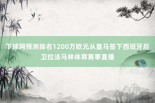 下球网预测排名1200万欧元从皇马签下西班牙后卫拉法马林体育赛事直播