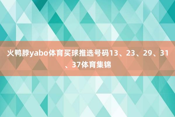 火鸭脖yabo体育买球推选号码13、23、29、31、37体育集锦