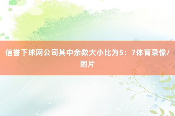 信誉下球网公司其中余数大小比为5：7体育录像/图片