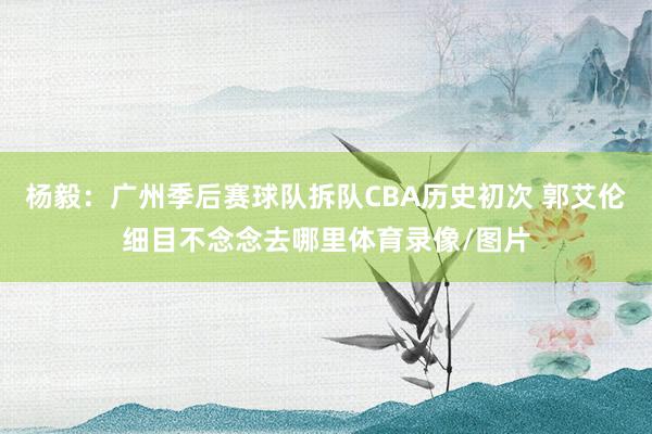 杨毅：广州季后赛球队拆队CBA历史初次 郭艾伦细目不念念去哪里体育录像/图片