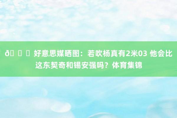 👀好意思媒晒图：若吹杨真有2米03 他会比这东契奇和锡安强吗？体育集锦