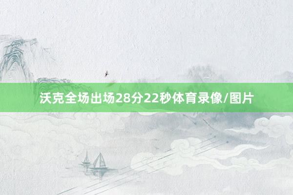 沃克全场出场28分22秒体育录像/图片